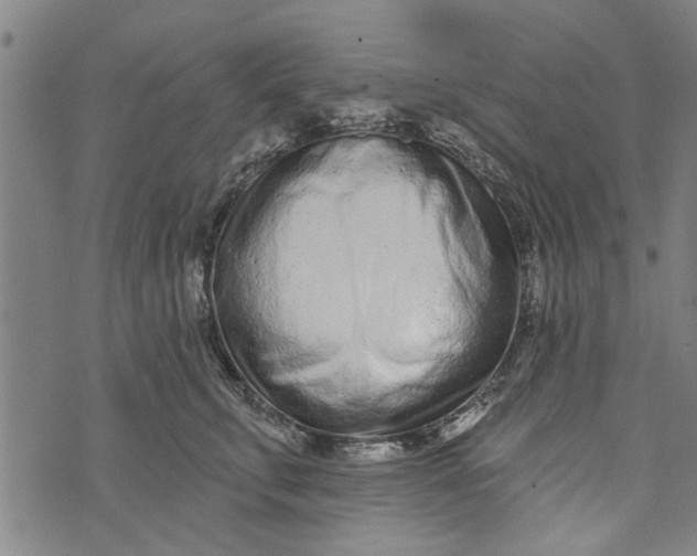 X0000073730711200608241257