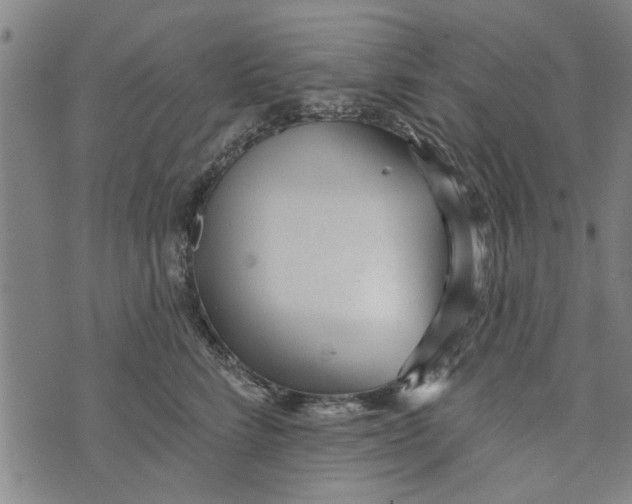 X0000073730712200608241257