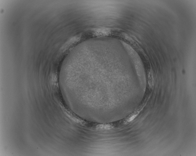 X0000073730714200608241257