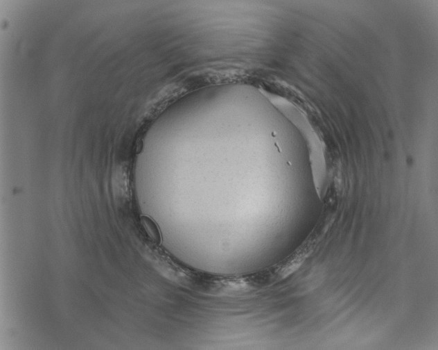 X0000073730715200608241257