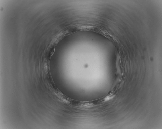 X0000073730716200608241257