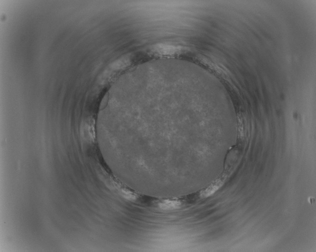 X0000073730718200608241257