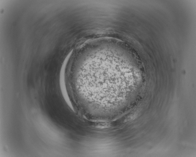 X0000073730720200608241257