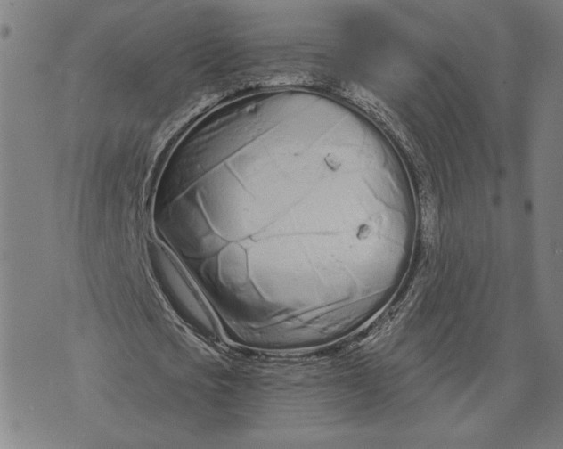 X0000073730721200608241256