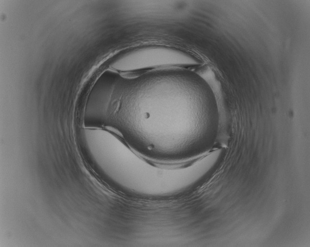 X0000073730722200608241256