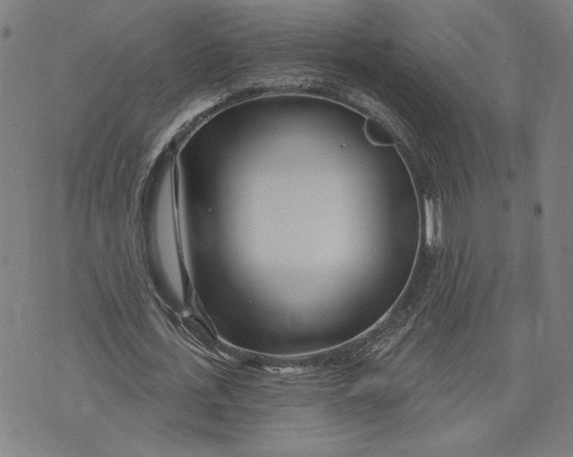 X0000073730723200608241256