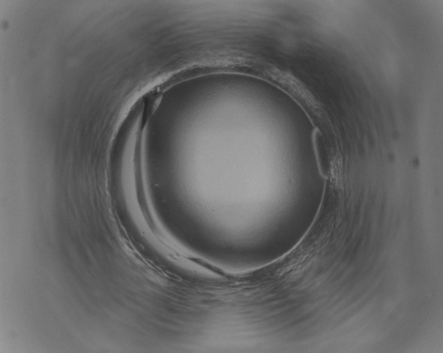 X0000073730724200608241256