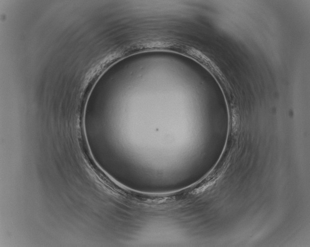 X0000073730725200608241256