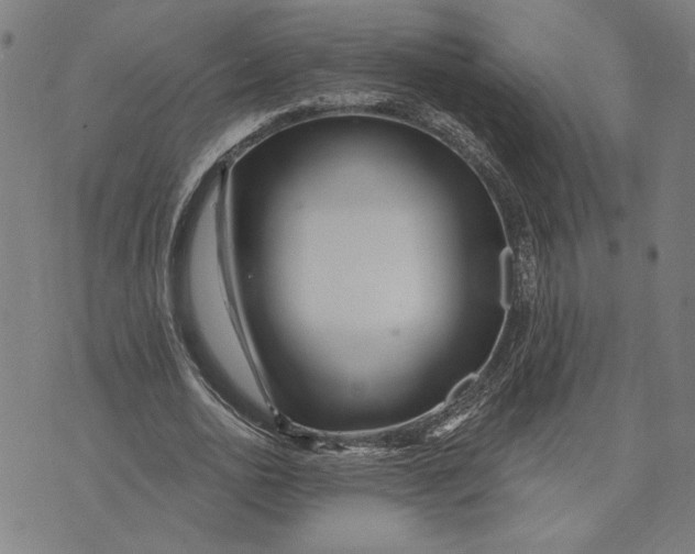 X0000073730726200608241256