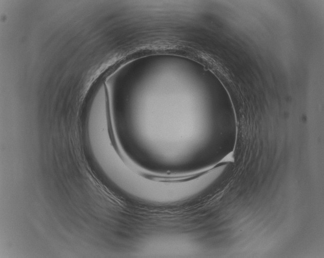 X0000073730727200608241256