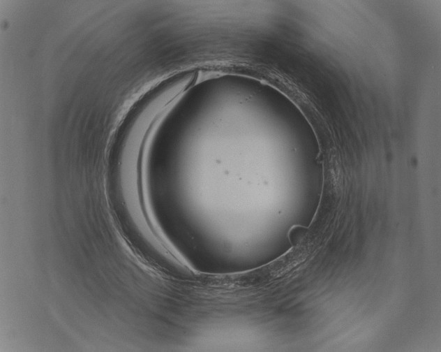 X0000073730728200608241256