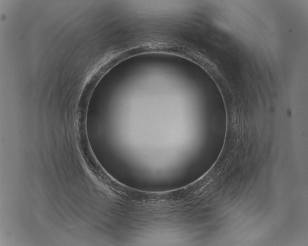 X0000073730730200608241256