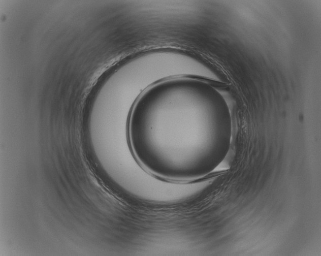 X0000073730732200608241256