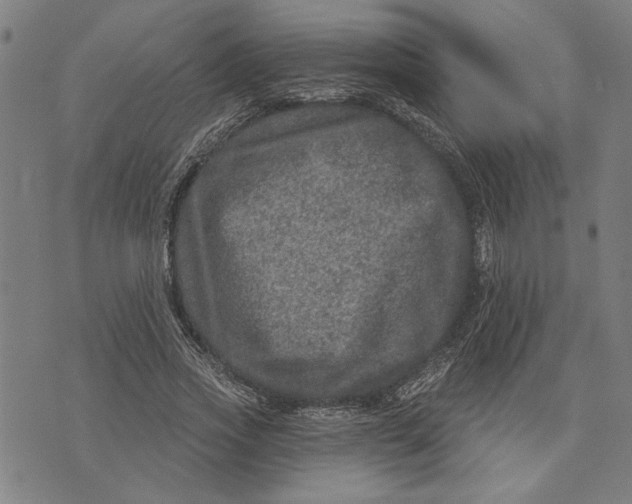 X0000073730733200608241256