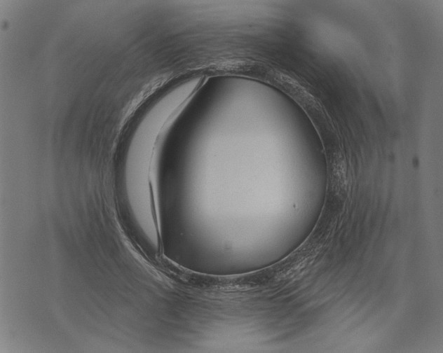 X0000073730734200608241256