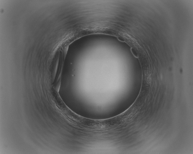 X0000073730735200608241256