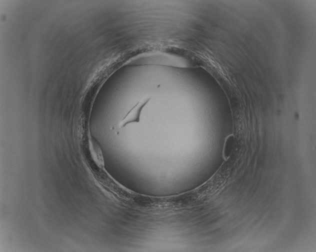 X0000073730736200608241256