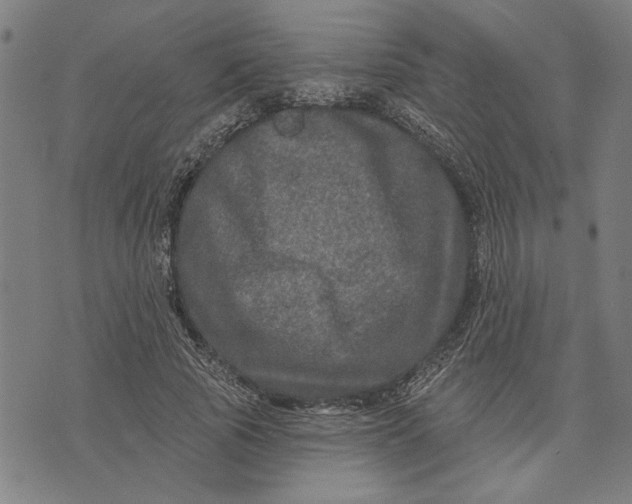 X0000073730737200608241256