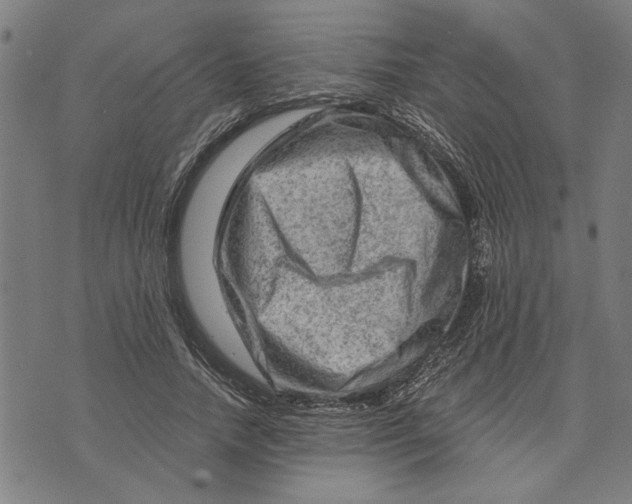 X0000073730738200608241256