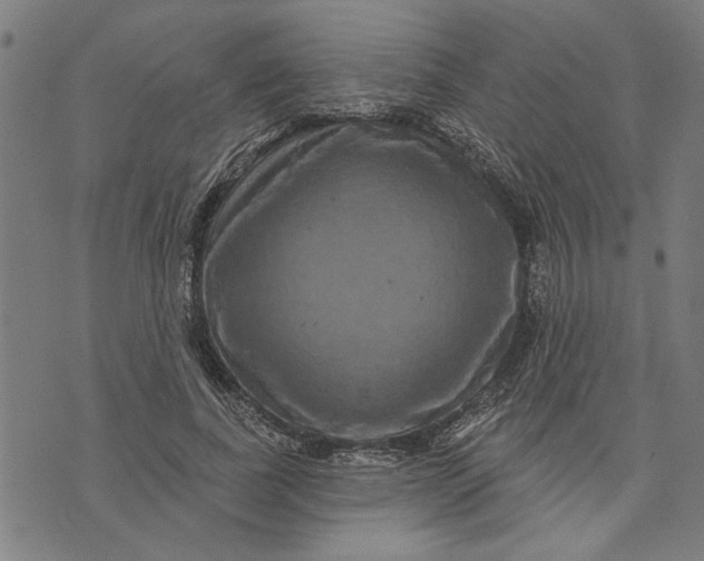 X0000073730739200608241256