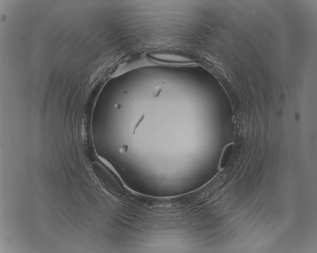 X0000073730740200608241256