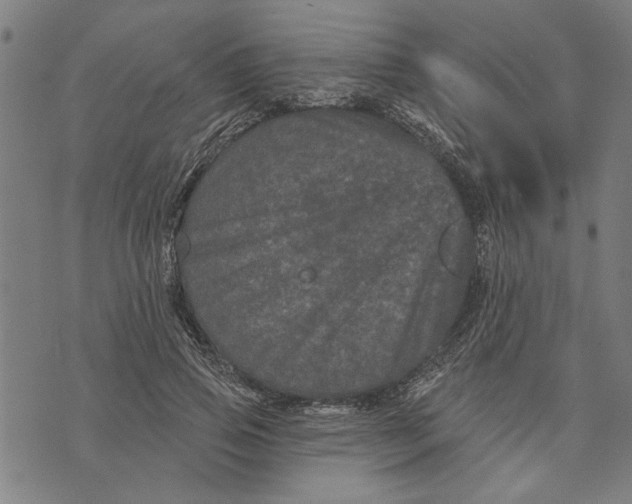 X0000073730741200608241256