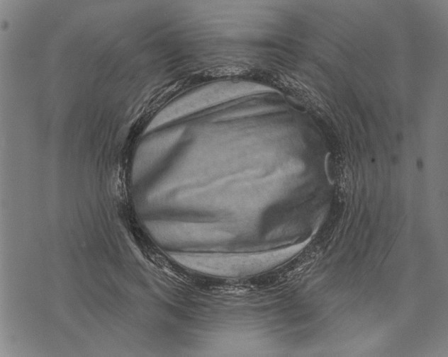 X0000073730743200608241256