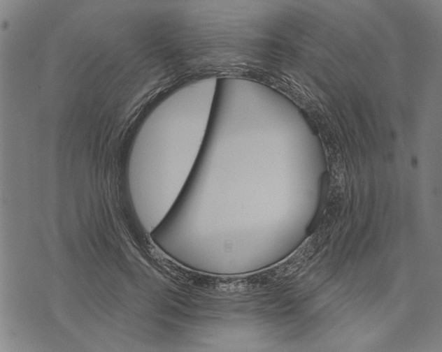 X0000073730744200608241256