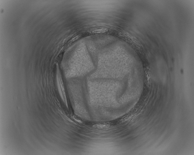 X0000073730745200608241256