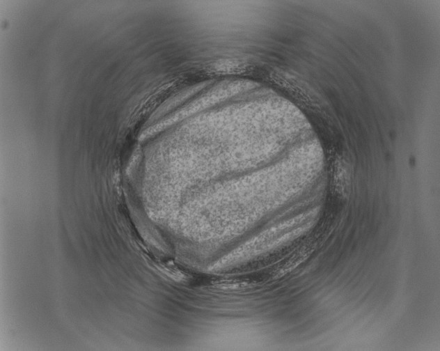 X0000073730746200608241256