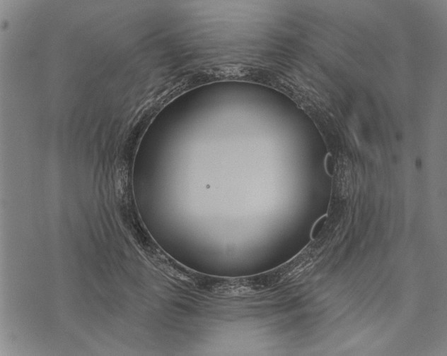 X0000073730747200608241256