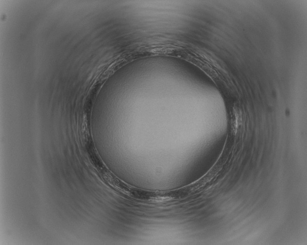 X0000073730748200608241256