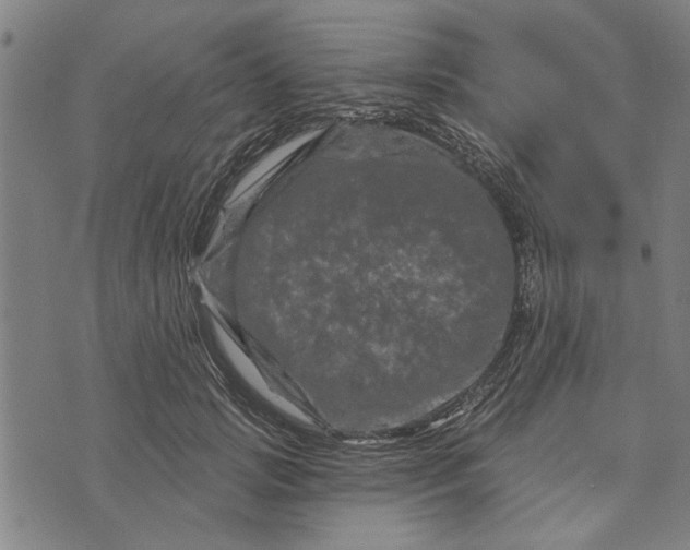 X0000073730749200608241256