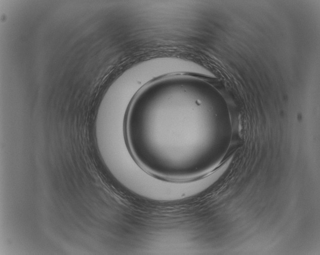 X0000073730750200608241256