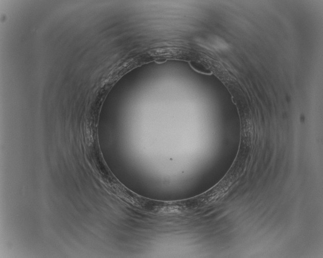 X0000073730751200608241256