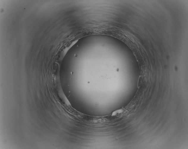 X0000073730752200608241256