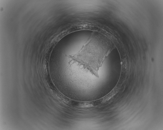 X0000073730754200608241256