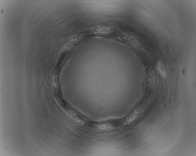 X0000073730755200608241256