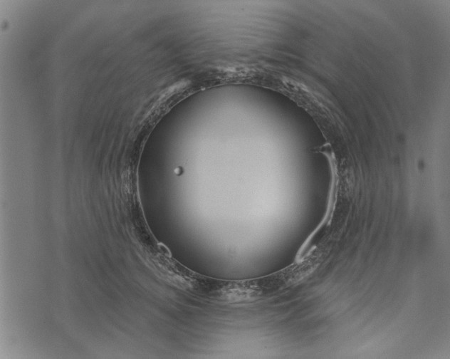 X0000073730756200608241256