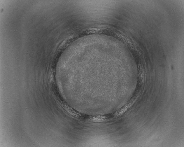 X0000073730758200608241256