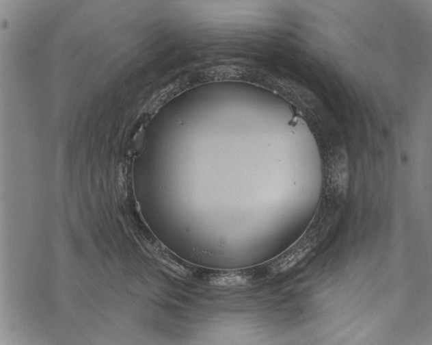 X0000073730759200608241257