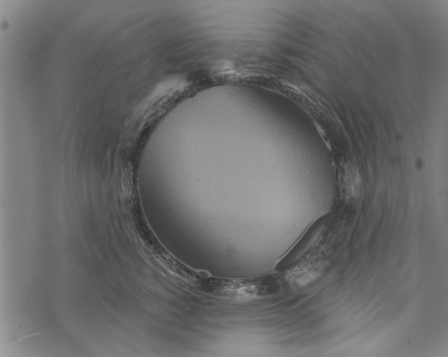 X0000073730760200608241257