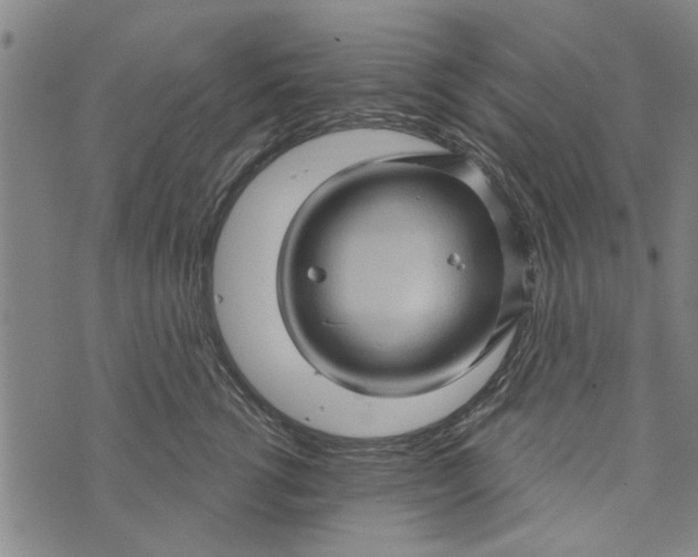 X0000073730762200608241257