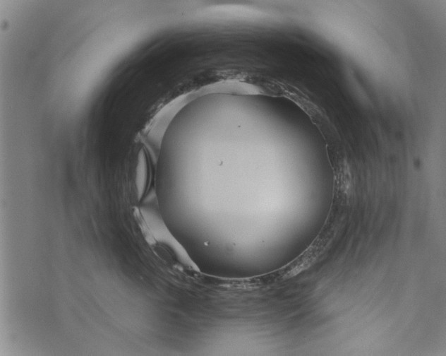 X0000073730763200608241257