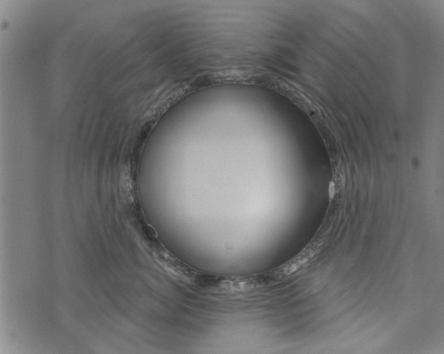 X0000073730764200608241257