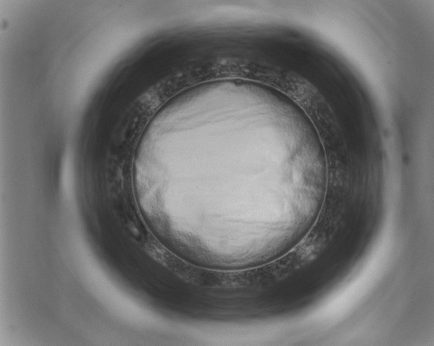 X0000073730765200608241257