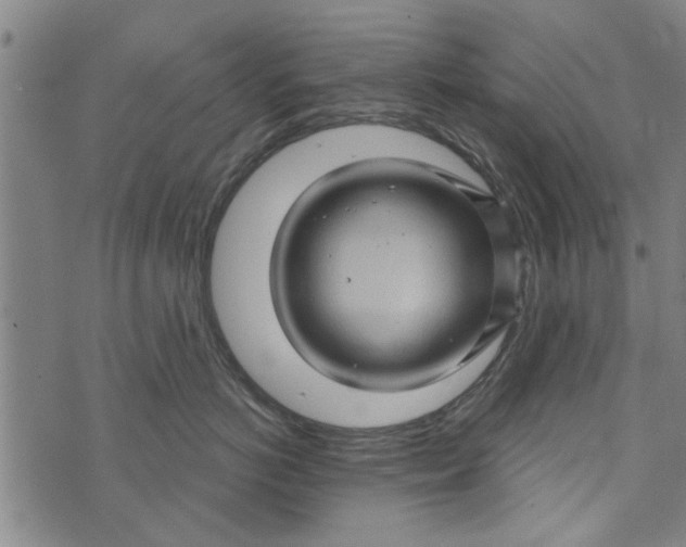 X0000073730766200608241257