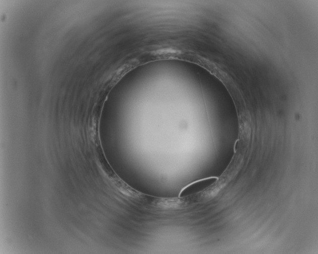 X0000073730767200608241257