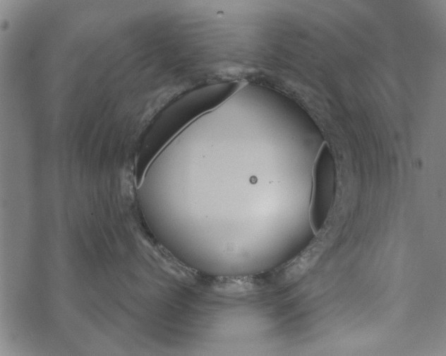 X0000073730768200608241257