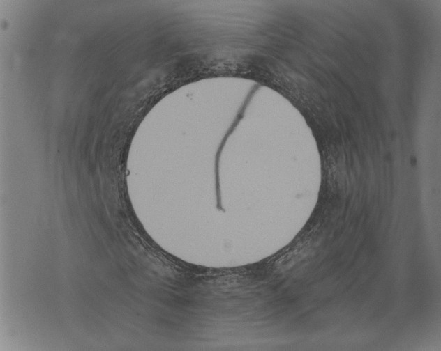 X0000073730769200608241256